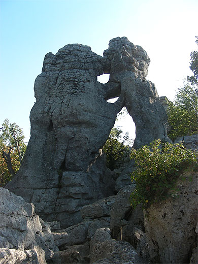 L'ours et le lion L'ours et le lion
