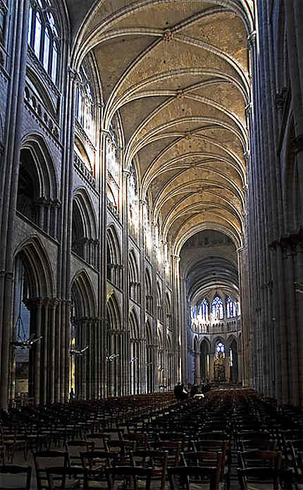 La cathédrale - la nef
