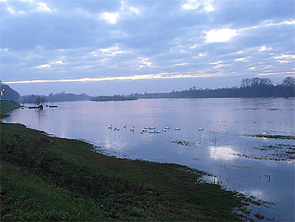 Soir sur la Loire