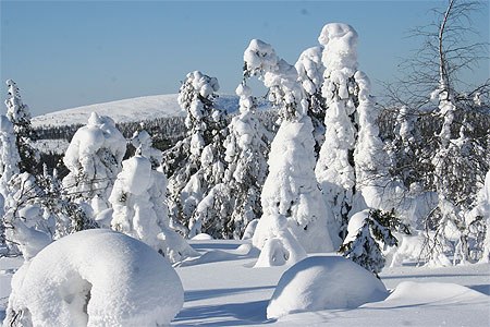 La Montagne Pétrifiée La Montagne Pétrifiée