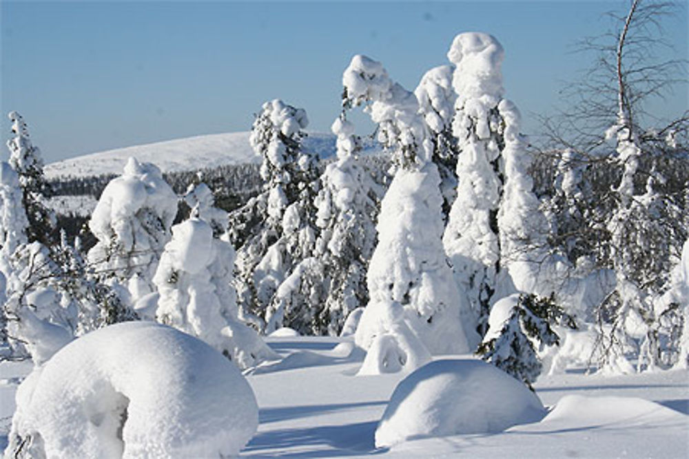 La Montagne Pétrifiée