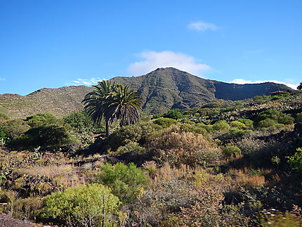 Paysage de la commune de Santiago del Teide