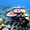Fonds marins, corail dans les Îles Anambas