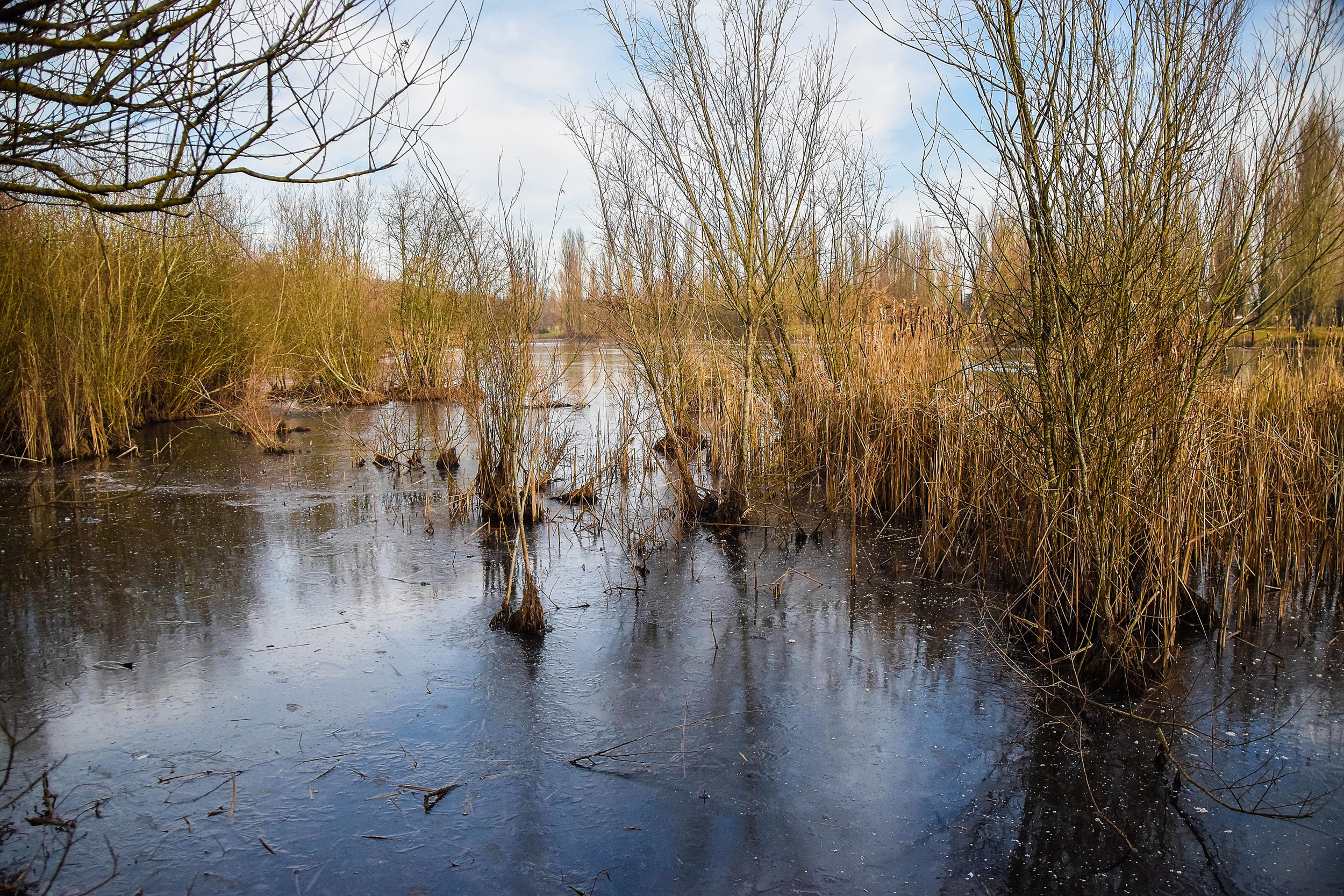 Le lac gelé à Châtellerault Le lac gelé à Châtellerault