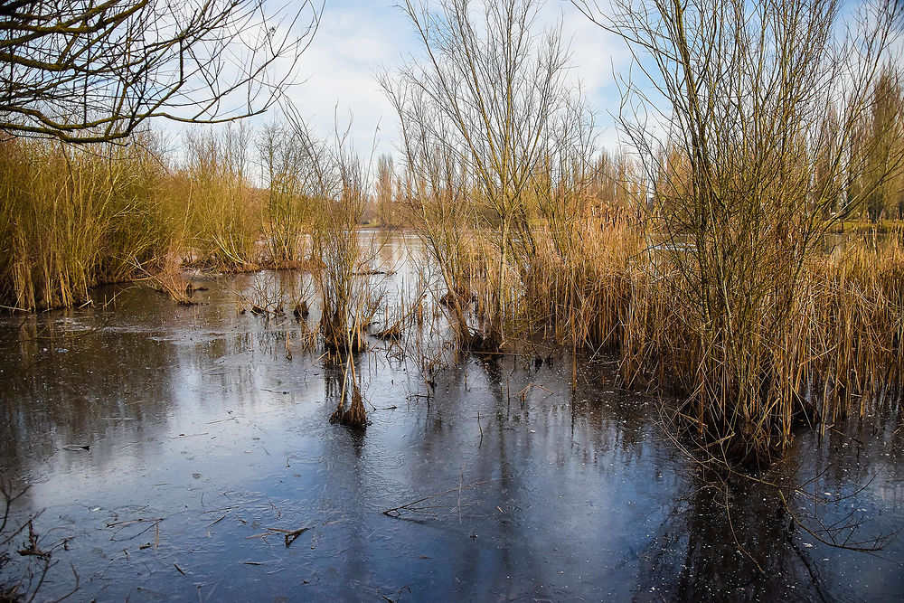 Le lac gelé à Châtellerault