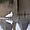 L’oiseau dans le reflet du Château de Suscinio 
