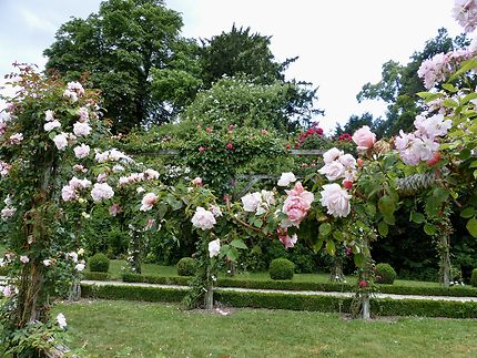 Le jardin le plus romantique de Paris