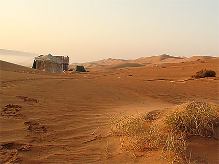 Tente bédouine avec brune matinale dans les sables de Wahiba