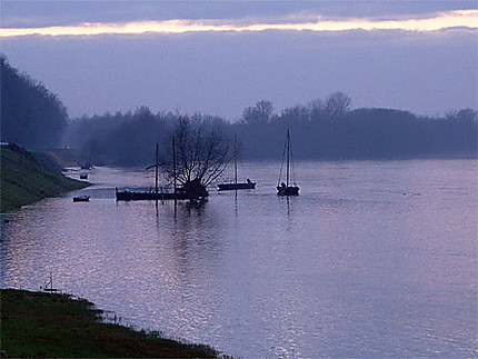 Brume et crépuscule sur la Loire