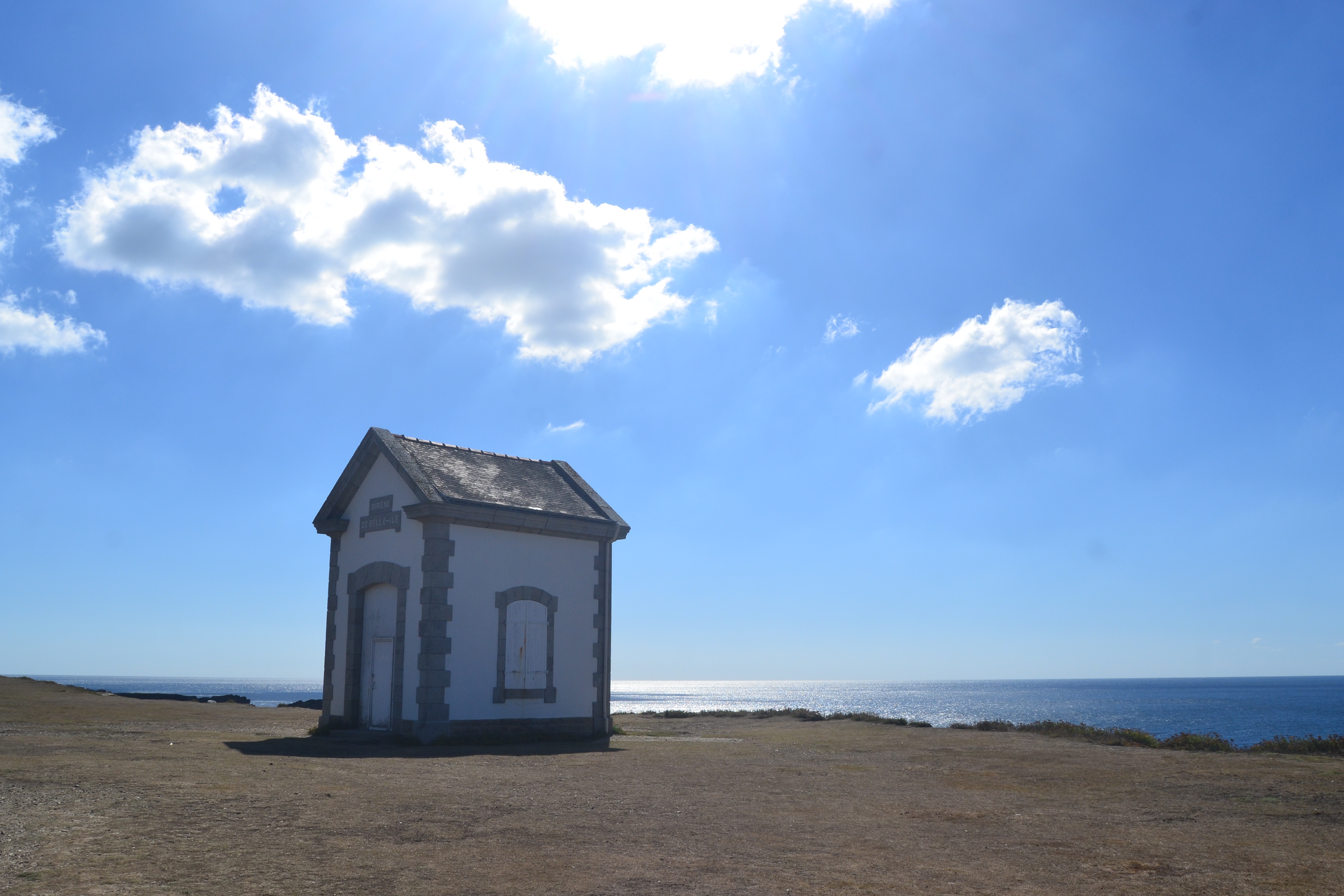 Corne de brume : comment bien choisir