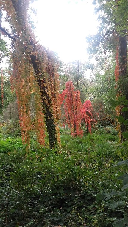 Parc Rothschild (Couleurs automnales)