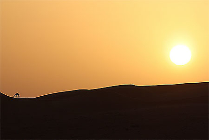 Coucher de soleil sur le wahiba sands