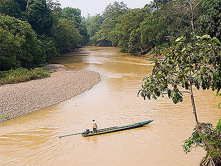 La pirogue, moyen de transport classique à Bornéo