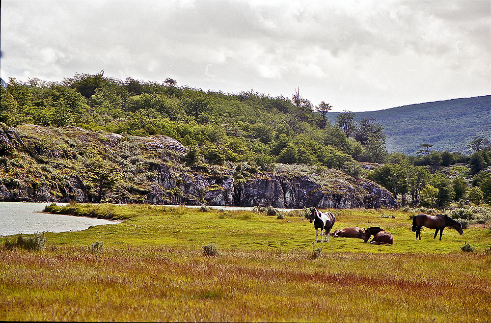 Une vue sur le lac Escondido