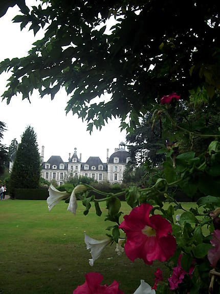 Château de Cheverny vu depuis les jardins