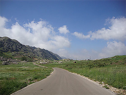 La route de Laklouk à Tannourine