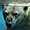 L'ours blanc au Zoo de La Flèche