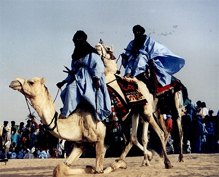 Camel dance Camel dance