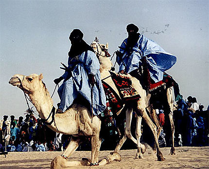 Camel dance