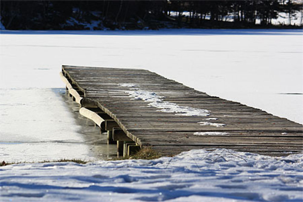 Le petit ponton de bois