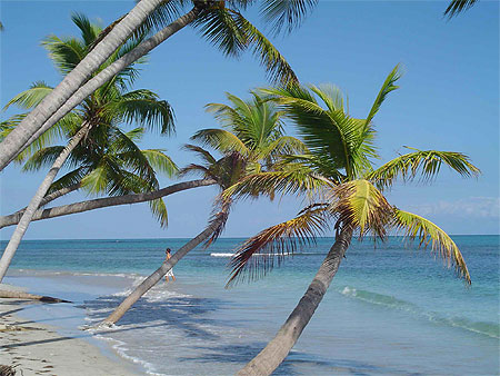 Ile de Saint Domingue Ile de Saint Domingue