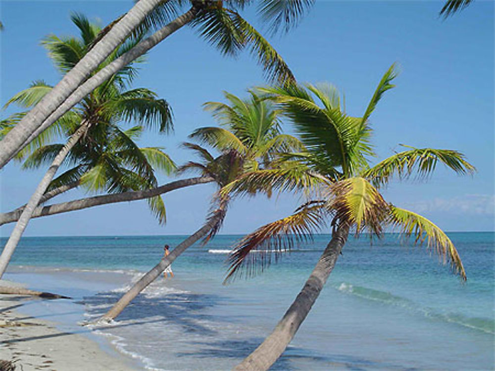 Ile de Saint Domingue