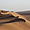 Dunes à perte de vue