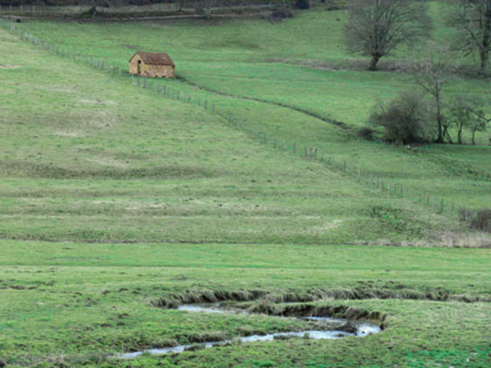 solitude