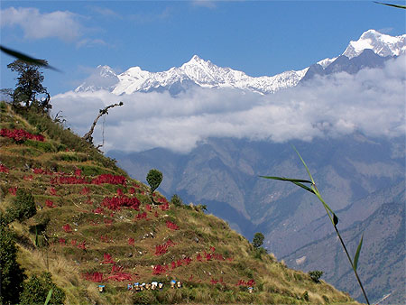 Tour du Manaslu Tour du Manaslu