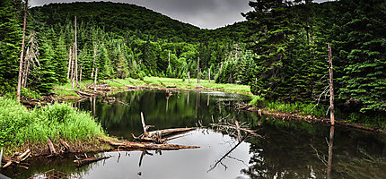 Le petit lac au Parc national du Mont-Tremblant