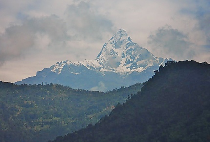 Machapuchare  - Pokhara