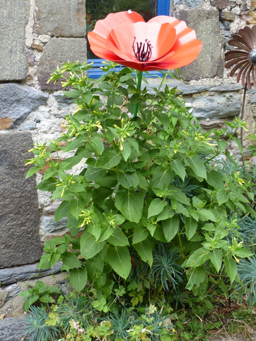 Fleurs d'artiste à La Gacilly