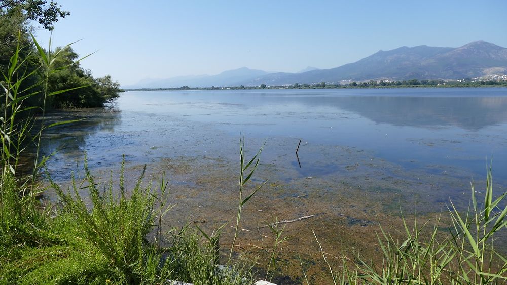 Étang de Biguglia, Corse