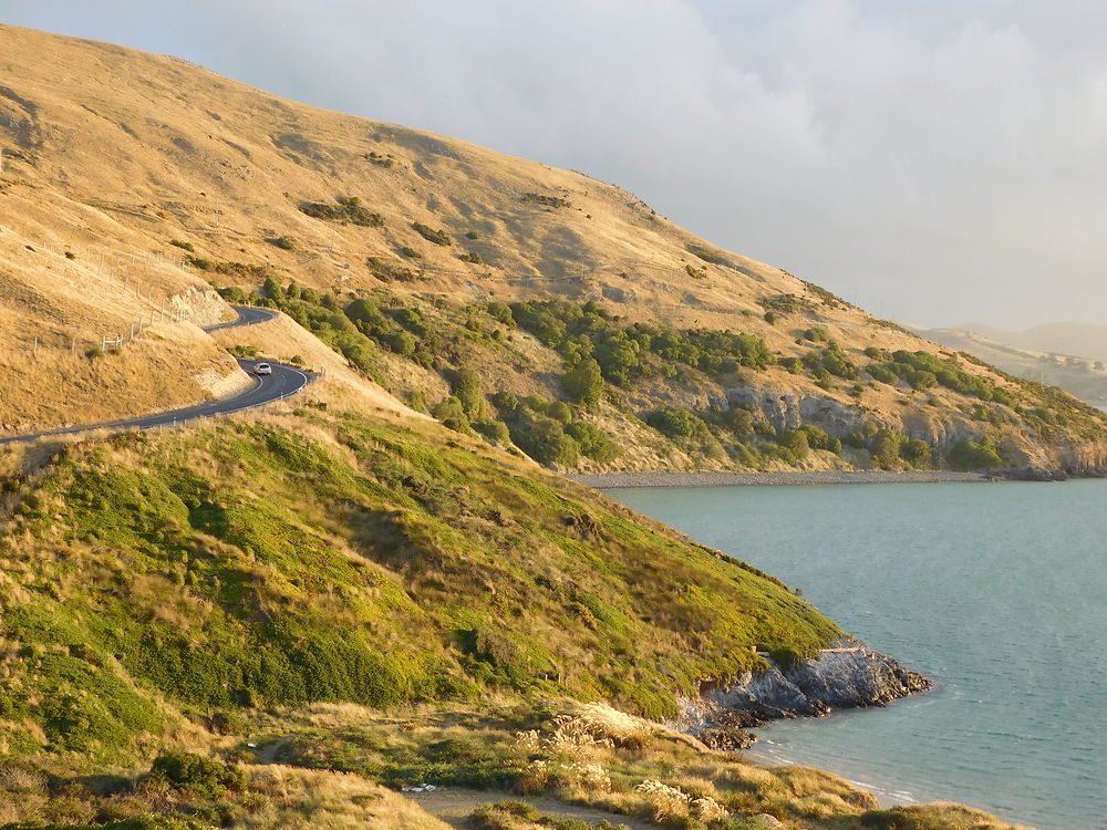 Route côtière néo-zélandaise à Oamaru