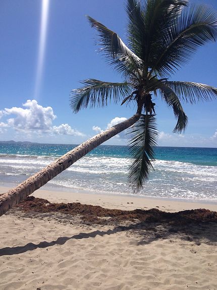 Le Diamant en Martinique, bonheur à la plage