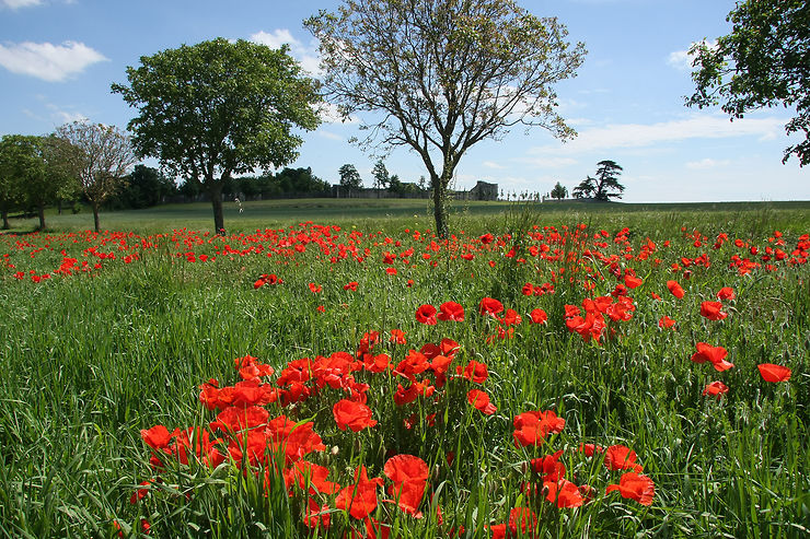 Terre de randonnées