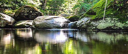 Reflets au Parc national du Mont-Tremblant