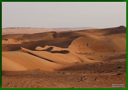 Dans le désert de Wahiba