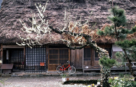 Maison traditionnelle à Shirakawa