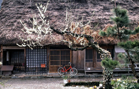 Maison traditionnelle à Shirakawa Maison traditionnelle à Shirakawa