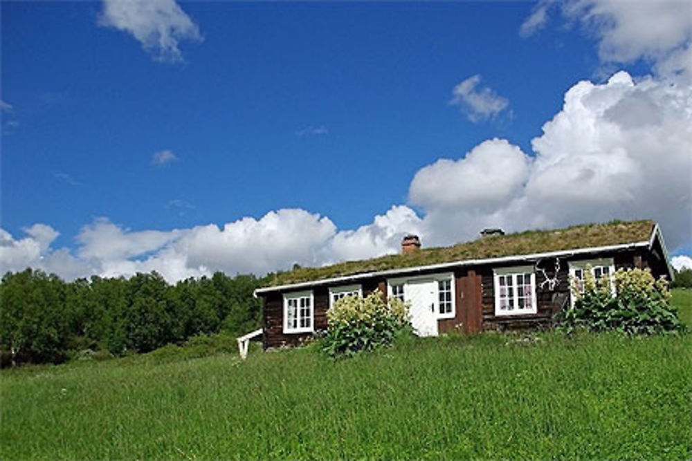 Le plateau de Dovre