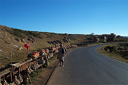 Vendeurs de légumes sur la route d'Antsirabe
