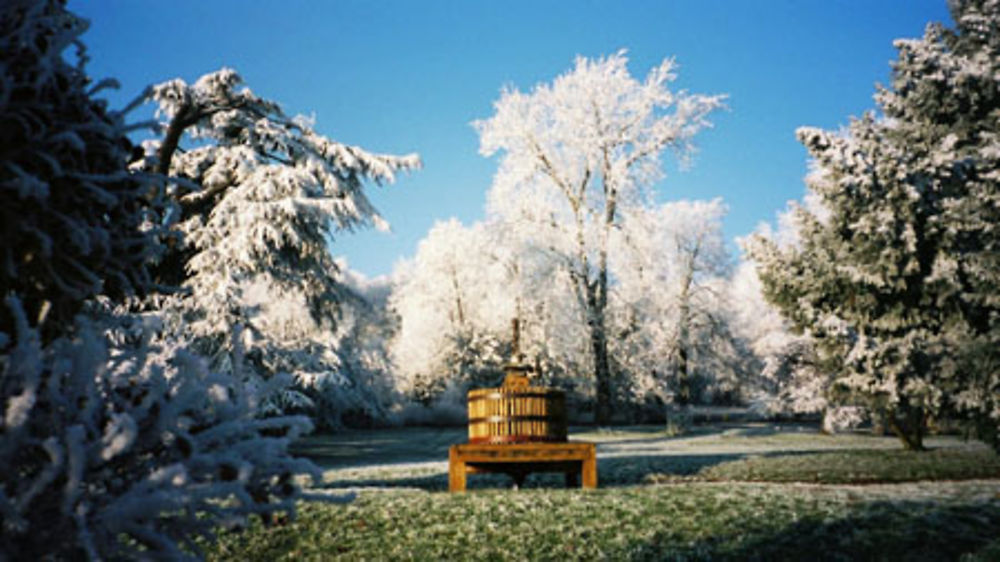 Parc un jour de givre