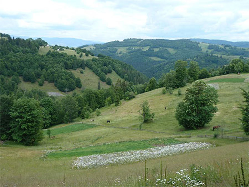 Pré carré au dessus d'Arienesi