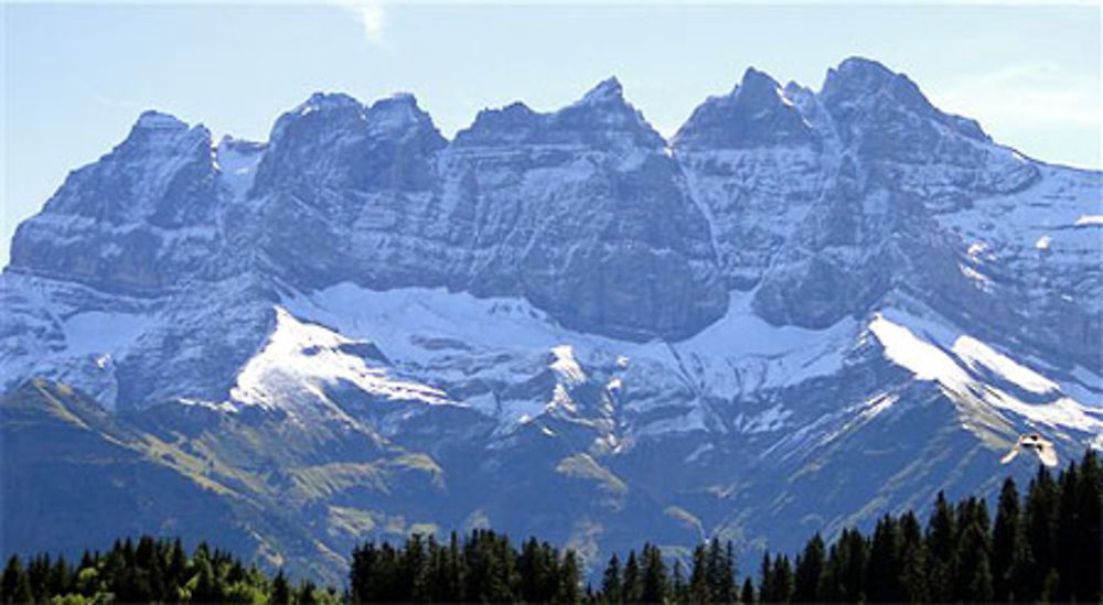 Dents du midi depuis Champoussin