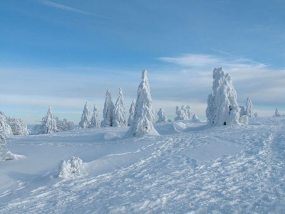 Journée glaciale dans les Vosges