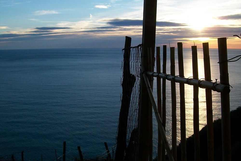 The Heart of Cinque Terre