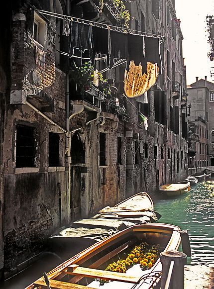 Venise