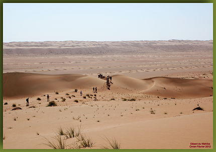 Dans le désert de Wahiba