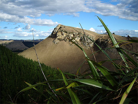 Te Mata Peak Te Mata Peak